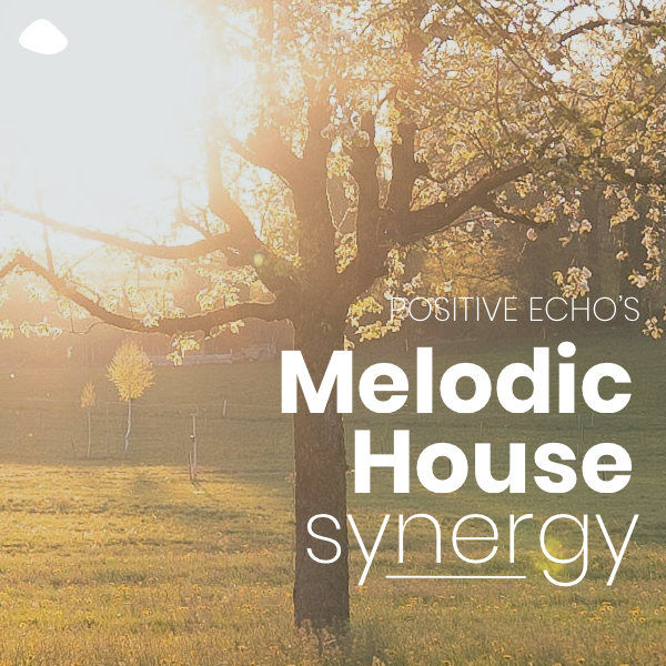 Melodic House Synergy Spotify Playlist Cover Image