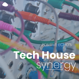 Tech House Synergy Spotify Playlist Cover Image