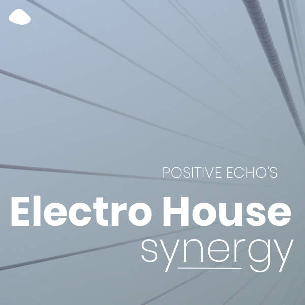 Electro House Synergy Spotify Playlist Cover Image