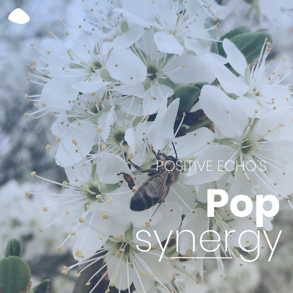 Pop Synergy Spotify Playlist Cover Image